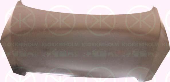Klokkerholm 5514280 - Капот двигателя avtokuzovplus.com.ua