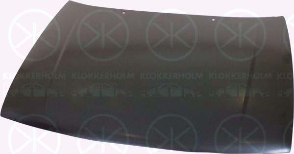 Klokkerholm 6607280 - Капот двигуна autocars.com.ua