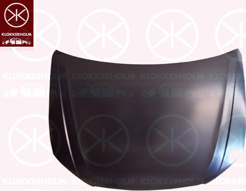 Klokkerholm 6633280 - Капот двигуна autocars.com.ua