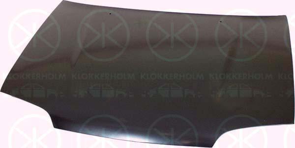 Klokkerholm 6811280 - Капот двигателя avtokuzovplus.com.ua