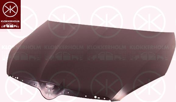 Klokkerholm 7515281 - Капот двигателя autodnr.net