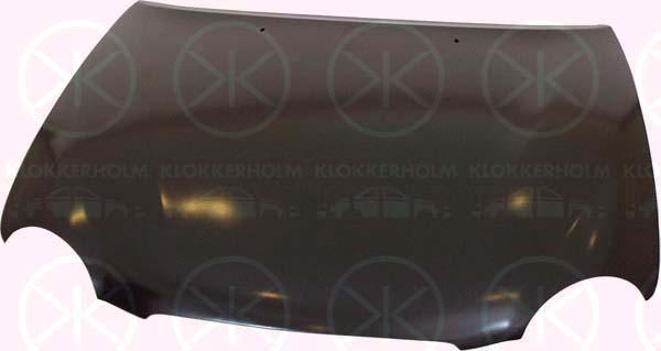 Klokkerholm 8114280 - Капот двигателя avtokuzovplus.com.ua