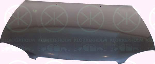 Klokkerholm 8114281 - Капот двигателя avtokuzovplus.com.ua