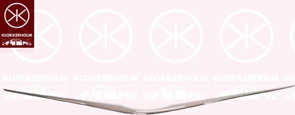 Klokkerholm 8164995A1 - Решітка радіатора autocars.com.ua