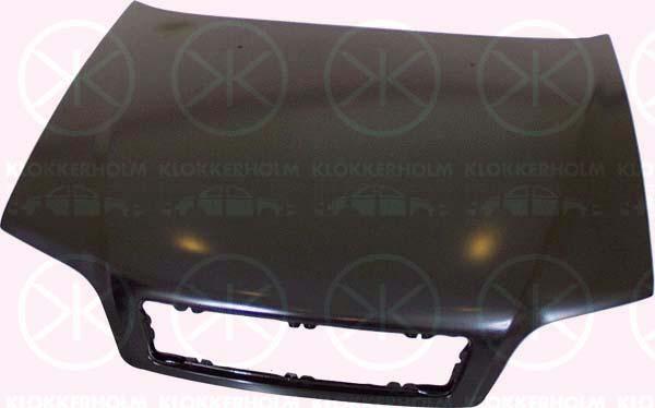 Klokkerholm 9008280 - Капот двигуна autocars.com.ua