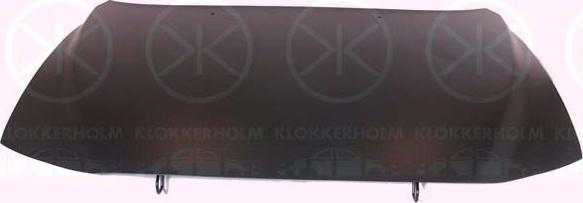 Klokkerholm 9021281 - Капот двигателя autodnr.net