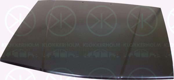 Klokkerholm 9040281 - Капот двигателя avtokuzovplus.com.ua