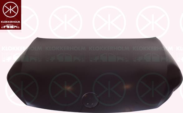 Klokkerholm 9519280 - Капот двигуна autocars.com.ua