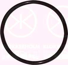 Klokkerholm 95990095 - Прокладка, датчик рівня палива autocars.com.ua