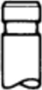 Kolbenschmidt 50017667 - Випускний клапан autocars.com.ua