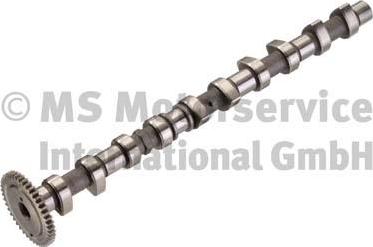 Kolbenschmidt 50006391 - Шток autocars.com.ua