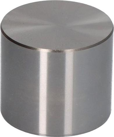 Kolbenschmidt 50007545 - Штовхач, гидрокомпенсатор autocars.com.ua