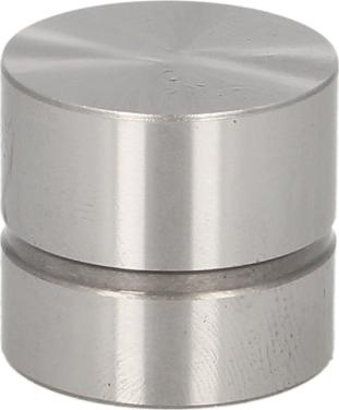 Kolbenschmidt 50007620 - Штовхач, гидрокомпенсатор autocars.com.ua