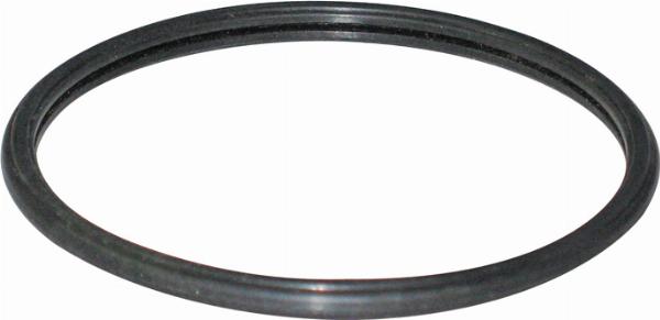 LEMA 2480805 - Ущільнене кільце, колінчастий вал autocars.com.ua