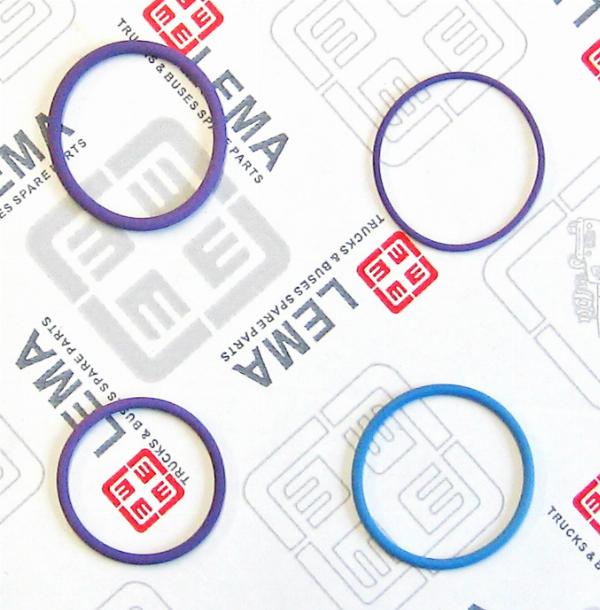 LEMA 28070.40 - Комплект прокладок, форсунка autocars.com.ua