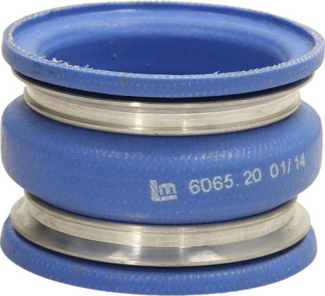 LEMA 606520 - Трубка нагнітається повітря autocars.com.ua