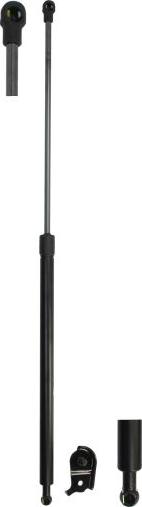 Lesjöfors 8049101 - Газова пружина, капот autocars.com.ua