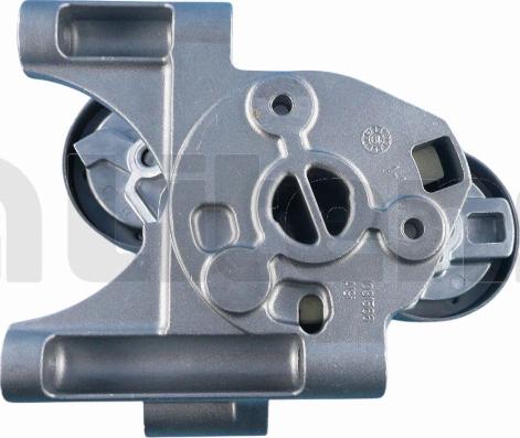 Litens 950591 - Натягувач ременя, клинові зуб. autocars.com.ua