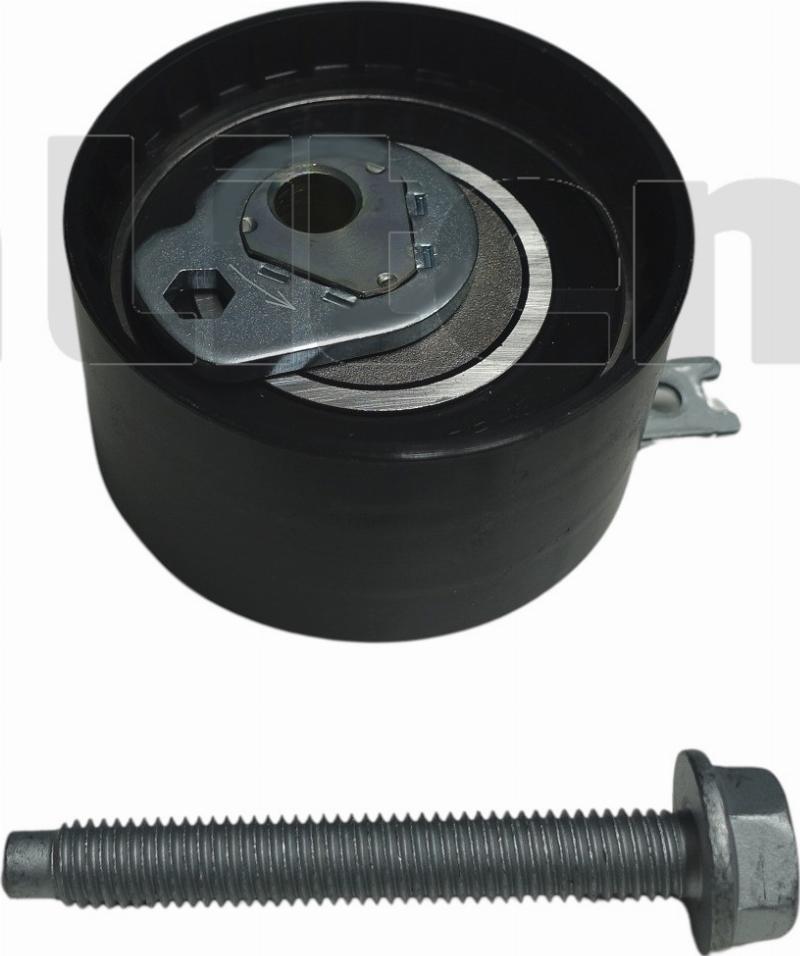 Litens 9790060 - Натяжна ролик, ремінь ГРМ autocars.com.ua