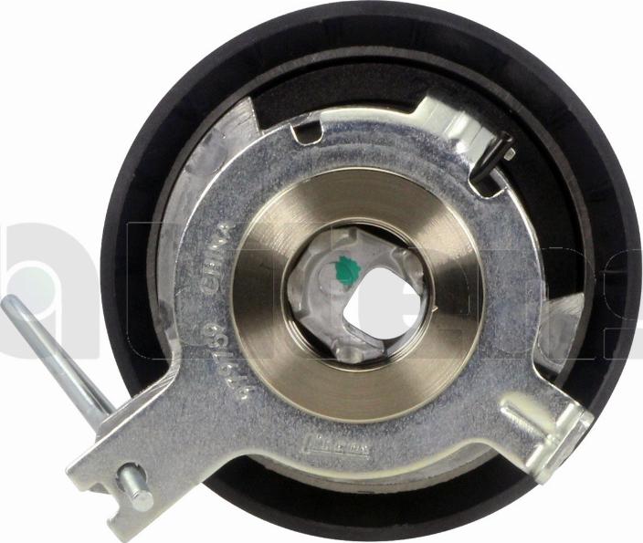 Litens 979759 - Натяжна ролик, ремінь ГРМ autocars.com.ua