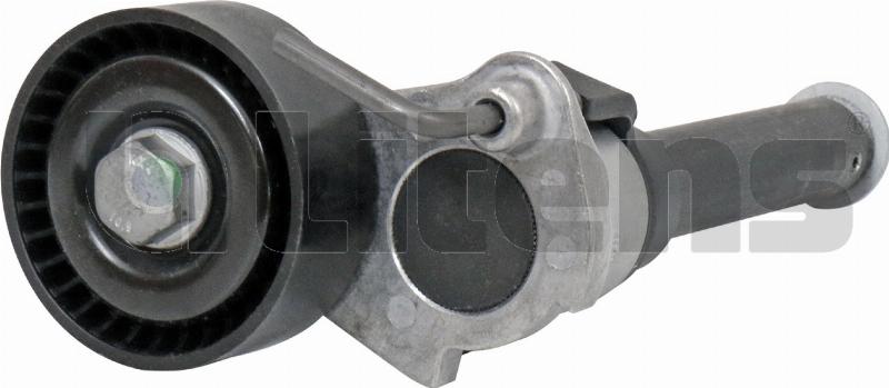 Litens 999550 - Натягувач ременя, клинові зуб. autocars.com.ua