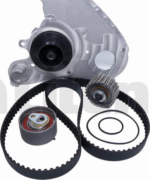 Litens LTW979016A - Водяний насос + комплект зубчатого ременя autocars.com.ua