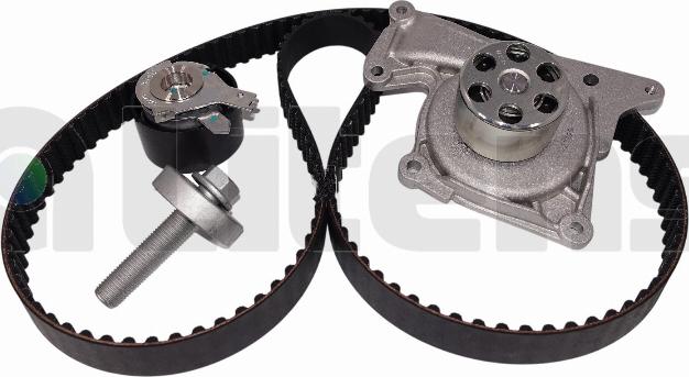 Litens LTW979020A - Водяний насос + комплект зубчатого ременя autocars.com.ua