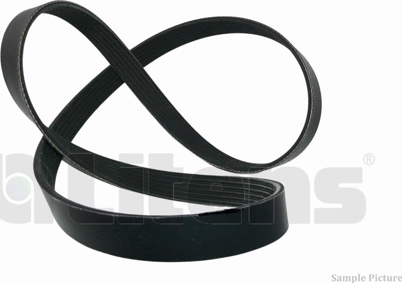Litens LV6PK1415 - Поликлиновой ремінь autocars.com.ua