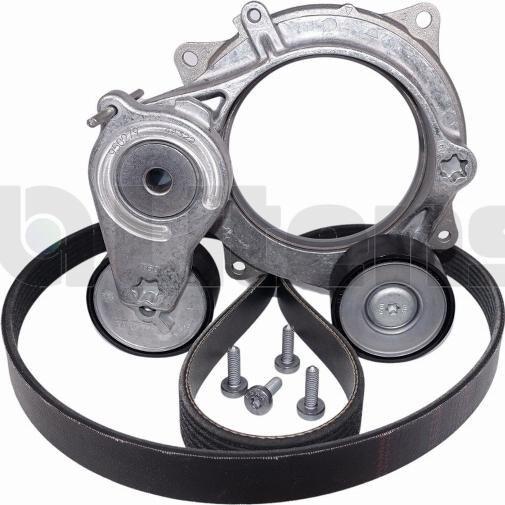 Litens LV950279B - Поликлиновий ремінний комплект autocars.com.ua