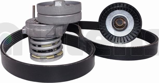 Litens LV950447A - Поликлиновий ремінний комплект autocars.com.ua