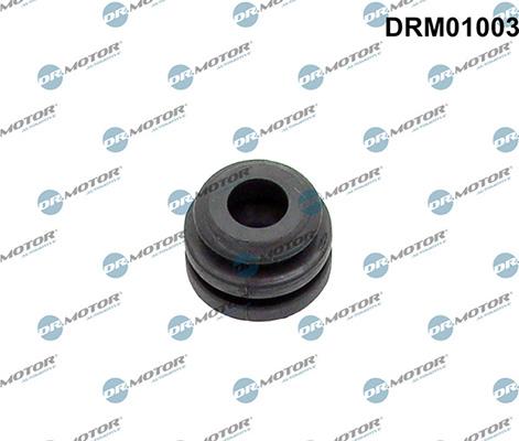 Lizarte DRM01003 - Буфер, кожух двигуна autocars.com.ua