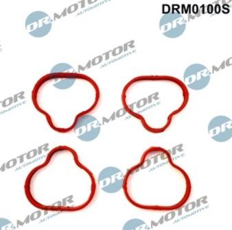 Lizarte DRM0100S - Комплект прокладок, впускний колектор autocars.com.ua