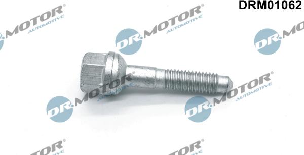 Lizarte DRM01062 - Болт, кріплення форсунки autocars.com.ua