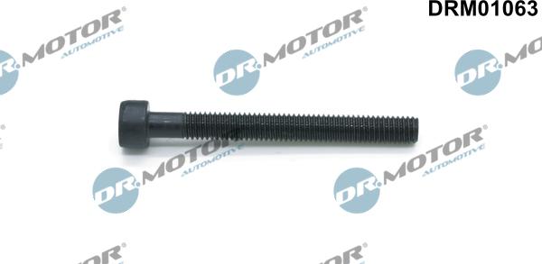 Lizarte DRM01063 - Болт, крепление форсунки avtokuzovplus.com.ua