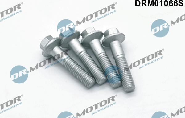 Lizarte DRM01066S - Болт, кріплення форсунки autocars.com.ua
