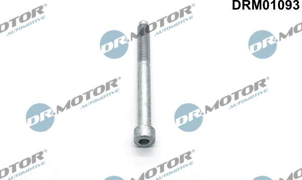 Lizarte DRM01093 - Болт, кріплення форсунки autocars.com.ua