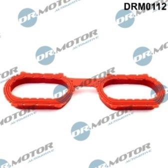 Lizarte DRM0112 - Прокладка, впускний колектор autocars.com.ua