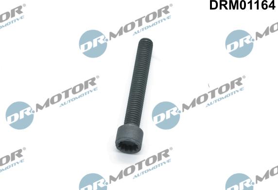 Lizarte DRM01164 - Болт, кріплення форсунки autocars.com.ua