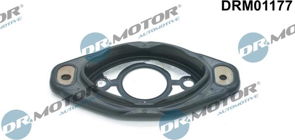 Lizarte DRM01177 - - - autocars.com.ua