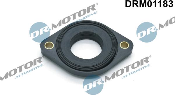 Lizarte DRM01183 - - - autocars.com.ua