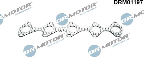 Lizarte DRM01197 - Прокладка, выпускной коллектор avtokuzovplus.com.ua