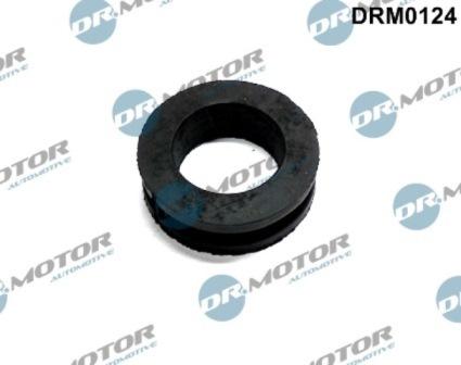 Lizarte DRM0124 - Прокладка, кришка головки циліндра autocars.com.ua