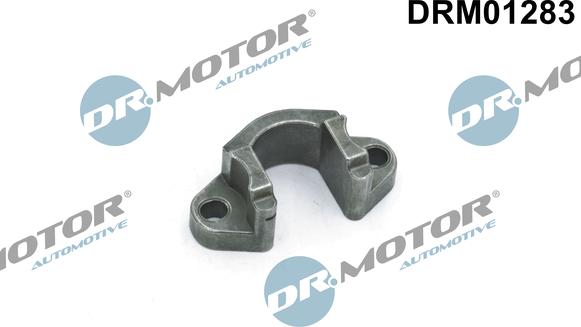 Lizarte DRM01283 - Кронштейн, клапанна форсунка autocars.com.ua