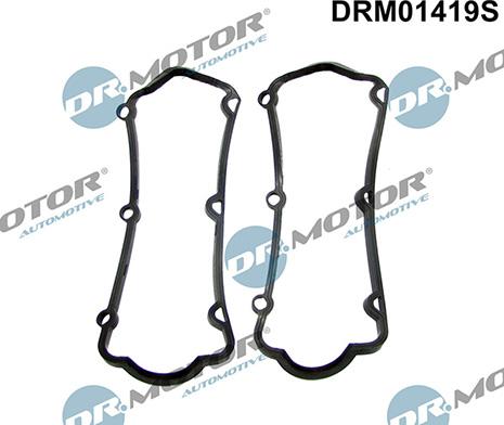 Lizarte DRM01419S - Комплект прокладок, кришка головки циліндра autocars.com.ua