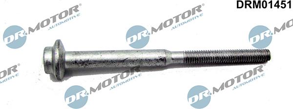 Lizarte DRM01451 - Болт, кріплення форсунки autocars.com.ua