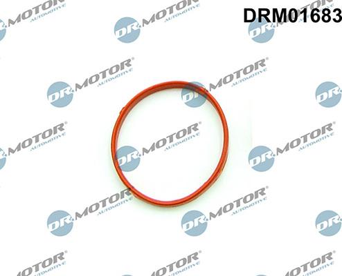 Lizarte DRM01683 - - - autocars.com.ua