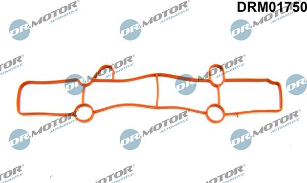 Lizarte DRM01750 - Прокладка, впускний колектор autocars.com.ua