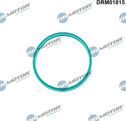 Lizarte DRM01815 - Кільце ущільнювача, трубка, що нагнітається autocars.com.ua