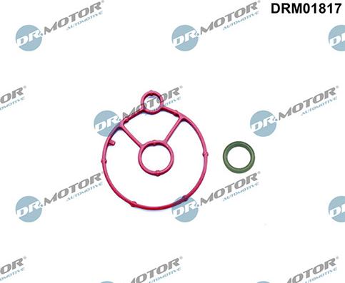 Lizarte DRM01817 - Комплект прокладок, масляний радіатор autocars.com.ua