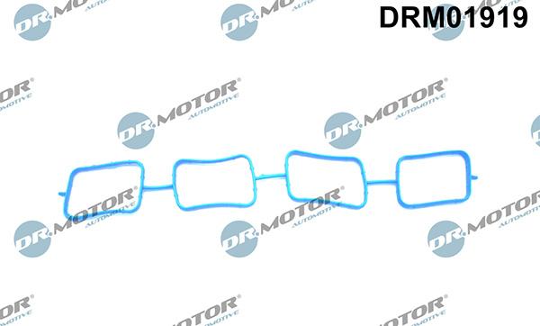 Lizarte DRM01919 - Прокладка, впускний колектор autocars.com.ua